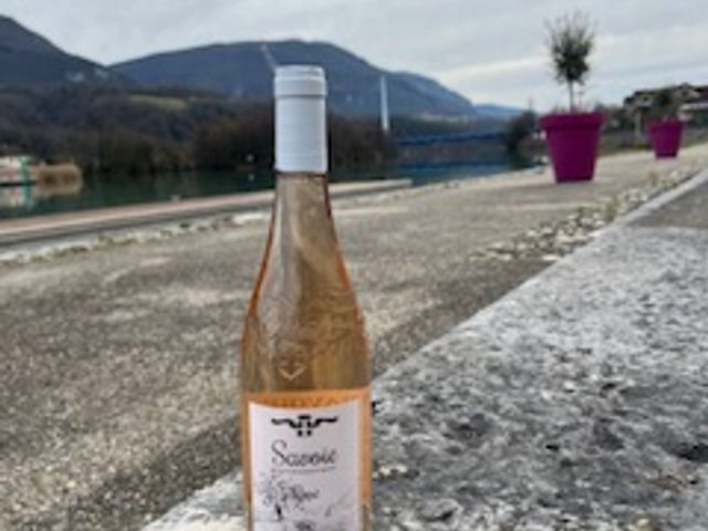 Taverne Le Gaulois Gamay rosé - BERNARD Aimé & Fils