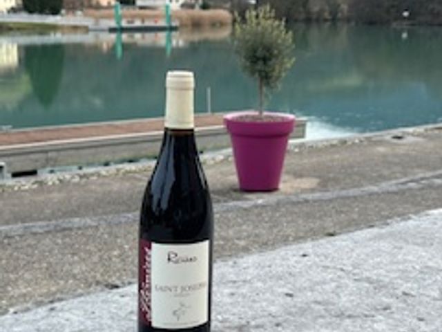 Taverne Le Gaulois Saint Joseph - Domaine Richard
